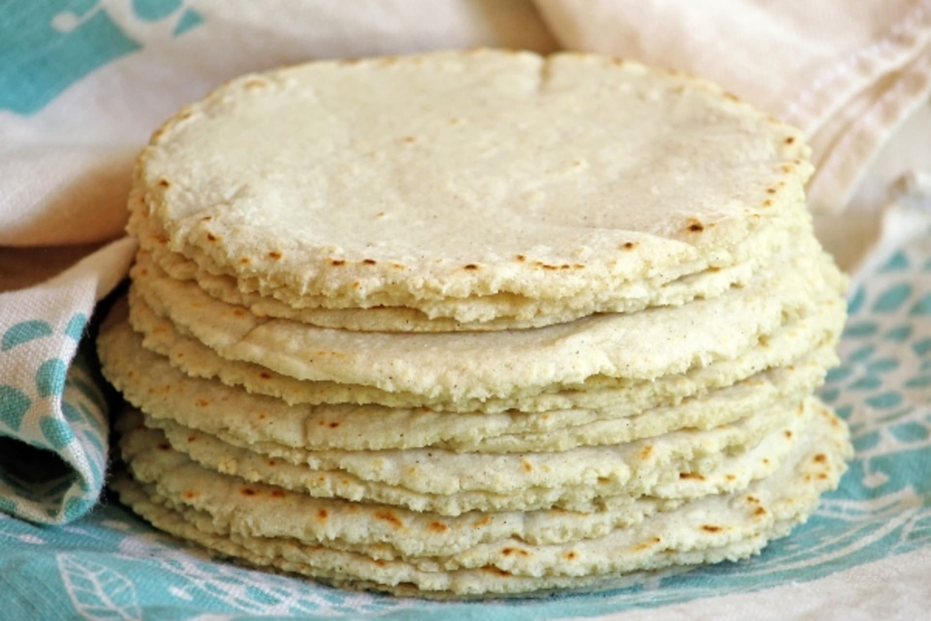 aunt terri tortillas